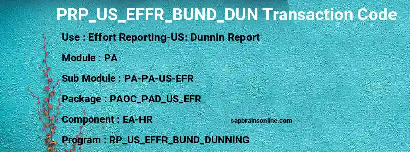 SAP PRP_US_EFFR_BUND_DUN transaction code