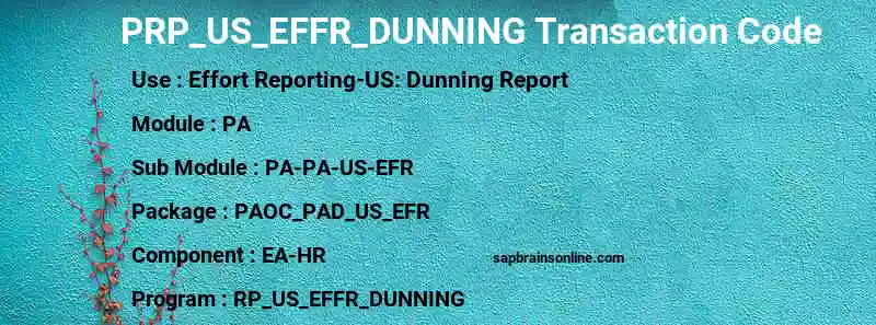 SAP PRP_US_EFFR_DUNNING transaction code