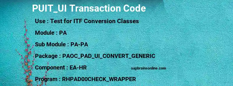 SAP PUIT_UI transaction code