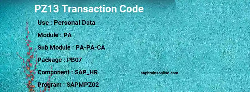SAP PZ13 transaction code