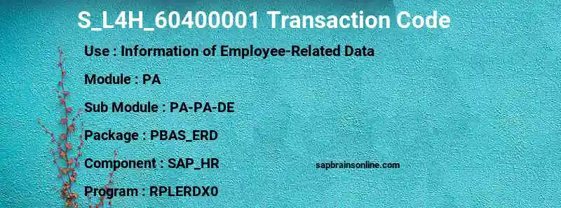SAP S_L4H_60400001 transaction code