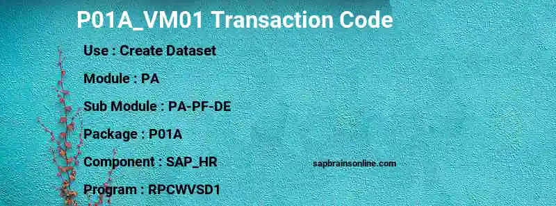 SAP P01A_VM01 transaction code