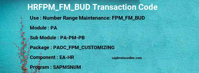 SAP HRFPM_FM_BUD transaction code