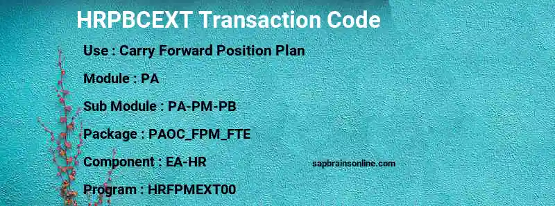 SAP HRPBCEXT transaction code
