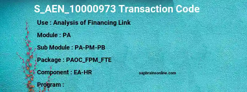 SAP S_AEN_10000973 transaction code