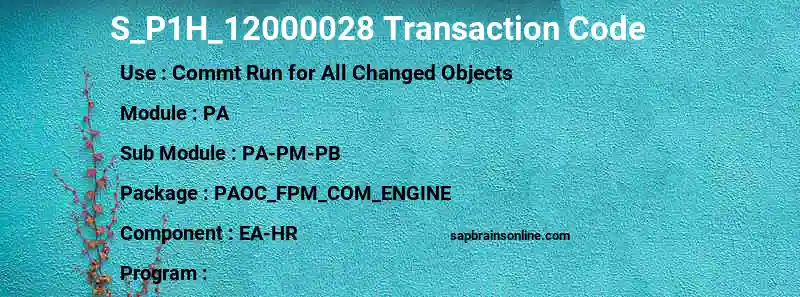 SAP S_P1H_12000028 transaction code