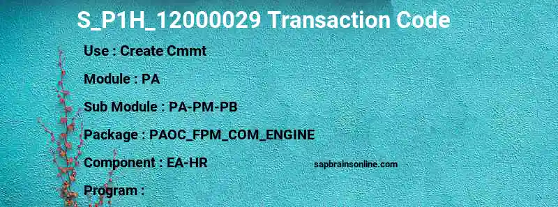 SAP S_P1H_12000029 transaction code