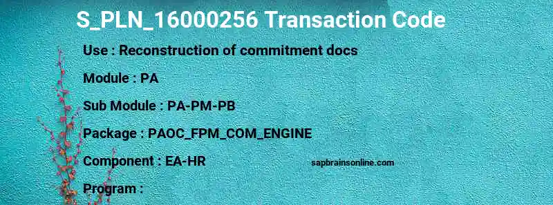 SAP S_PLN_16000256 transaction code