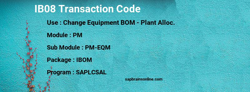 SAP IB08 transaction code