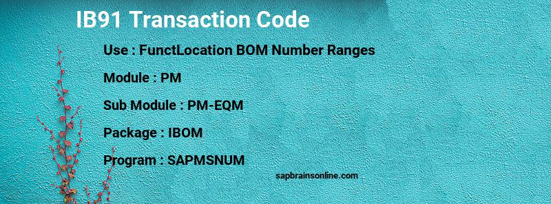 SAP IB91 transaction code