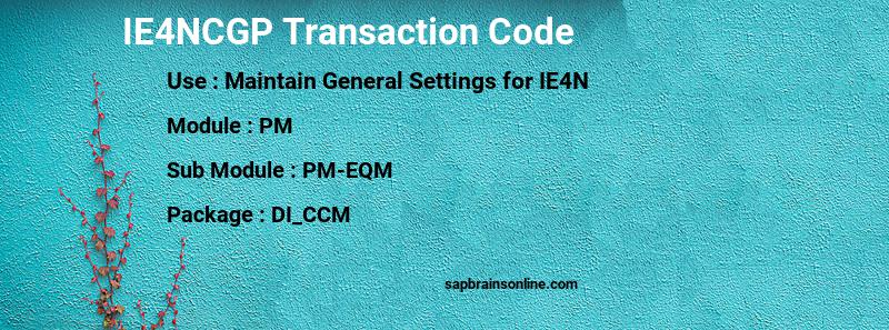 SAP IE4NCGP transaction code