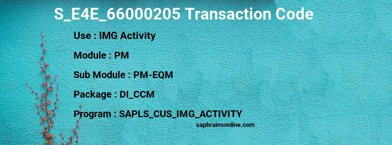 SAP S_E4E_66000205 transaction code