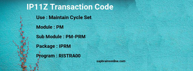 SAP IP11Z transaction code