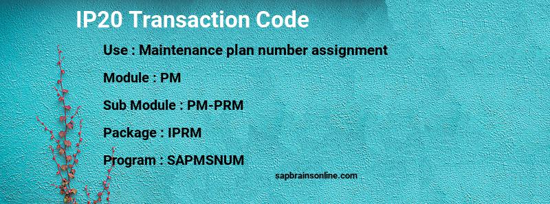 SAP IP20 transaction code