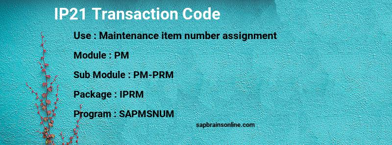 SAP IP21 transaction code