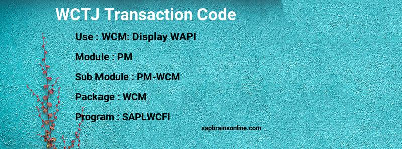 SAP WCTJ transaction code