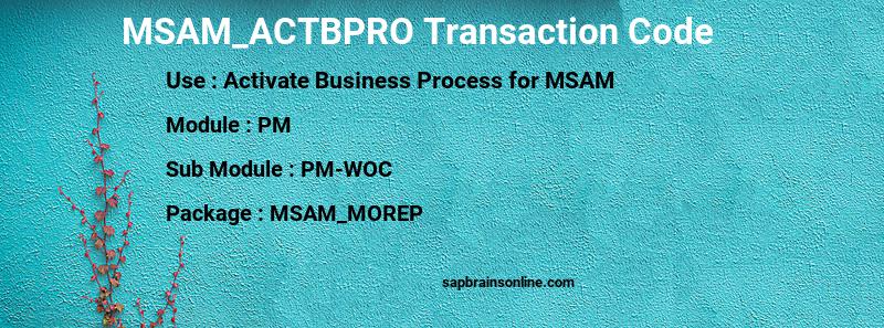 SAP MSAM_ACTBPRO transaction code