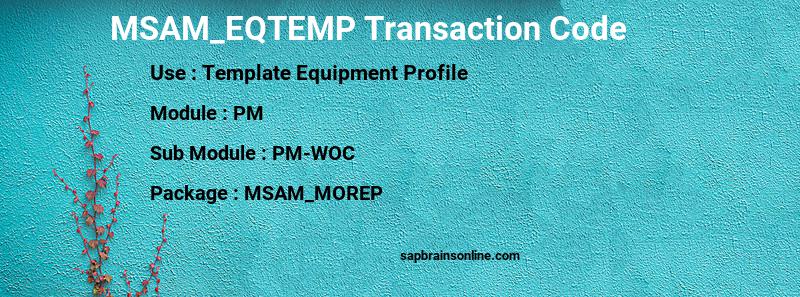 SAP MSAM_EQTEMP transaction code