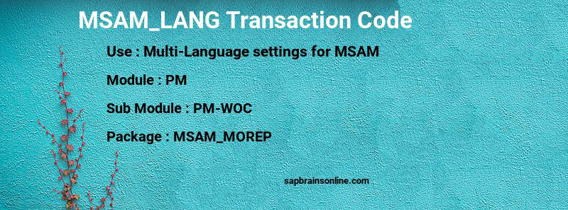SAP MSAM_LANG transaction code