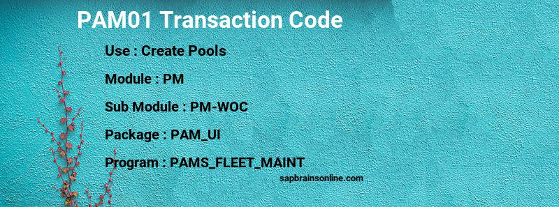 SAP PAM01 transaction code