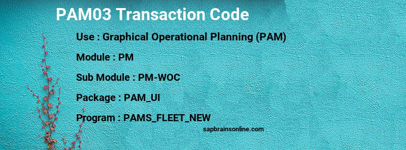 SAP PAM03 transaction code