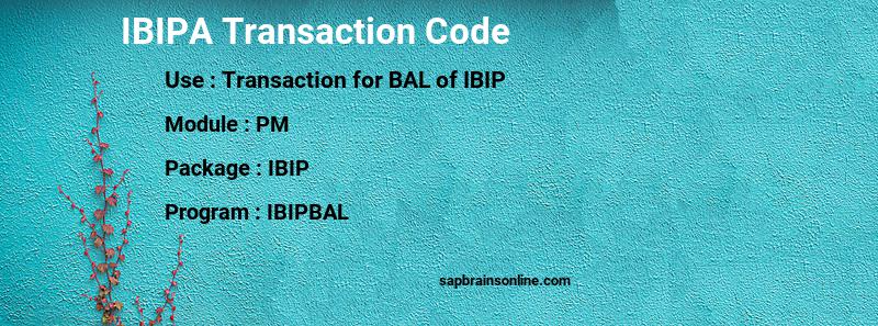 SAP IBIPA transaction code