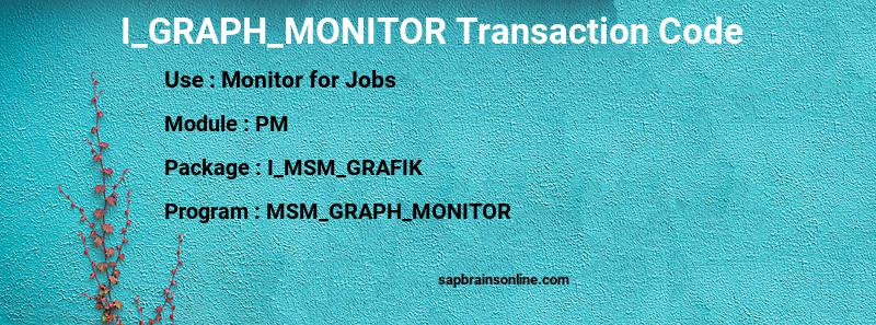 SAP I_GRAPH_MONITOR transaction code