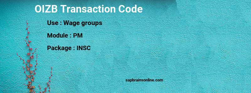 SAP OIZB transaction code