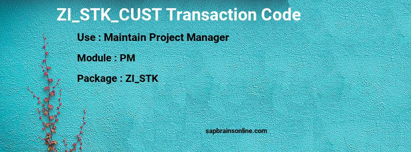 SAP ZI_STK_CUST transaction code