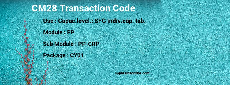 SAP CM28 transaction code