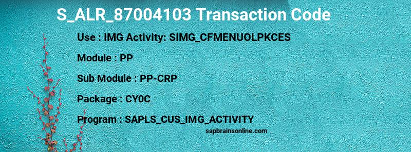 SAP S_ALR_87004103 transaction code