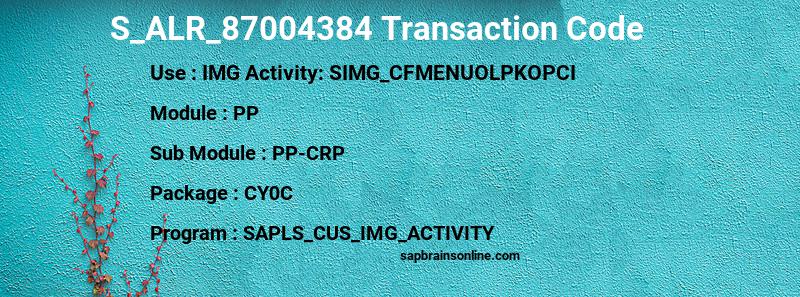 SAP S_ALR_87004384 transaction code