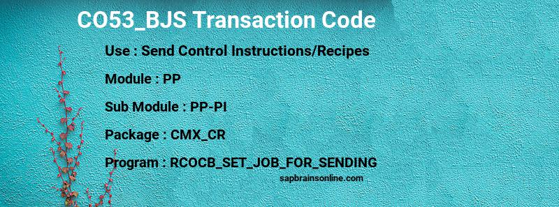 SAP CO53_BJS transaction code