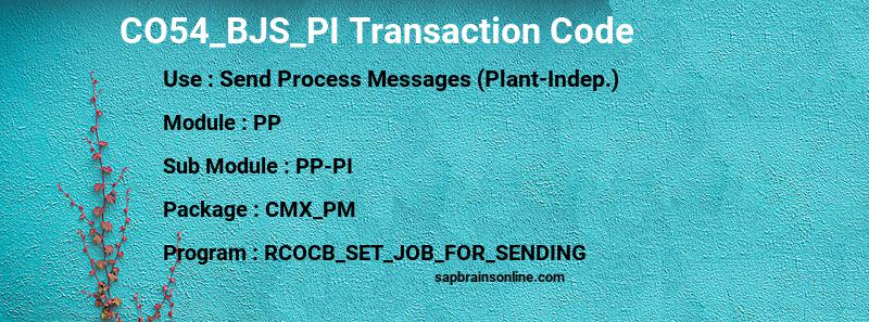 SAP CO54_BJS_PI transaction code