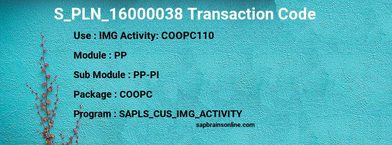 SAP S_PLN_16000038 transaction code
