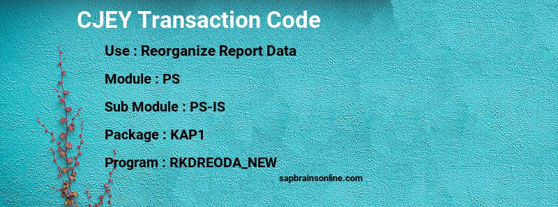 SAP CJEY transaction code