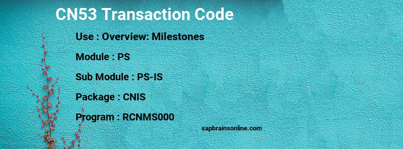 SAP CN53 transaction code