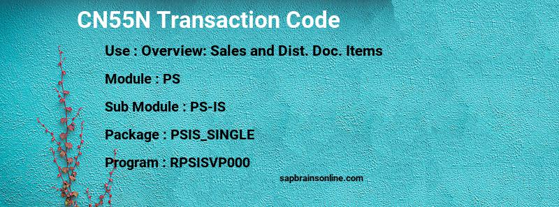 SAP CN55N transaction code