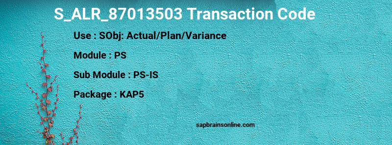 SAP S_ALR_87013503 transaction code