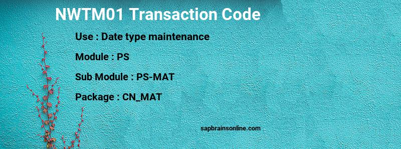 SAP NWTM01 transaction code