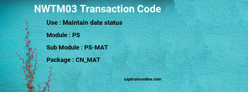 SAP NWTM03 transaction code