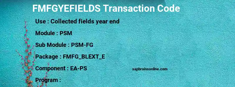 SAP FMFGYEFIELDS transaction code