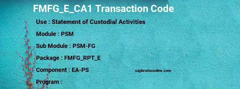 SAP FMFG_E_CA1 transaction code