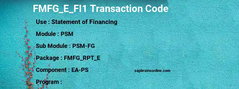 SAP FMFG_E_FI1 transaction code