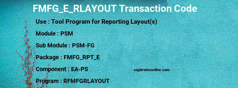 SAP FMFG_E_RLAYOUT transaction code