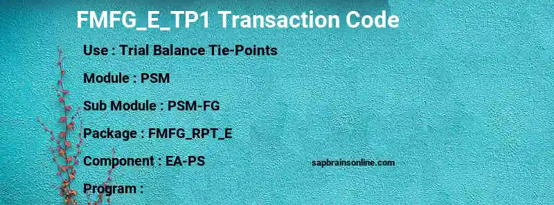 SAP FMFG_E_TP1 transaction code