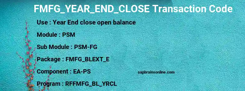 SAP FMFG_YEAR_END_CLOSE transaction code