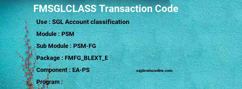 SAP FMSGLCLASS transaction code