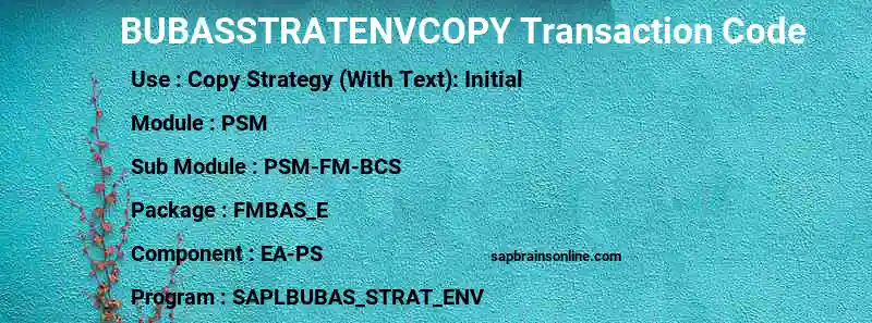 SAP BUBASSTRATENVCOPY transaction code