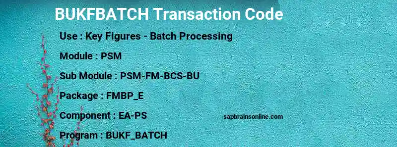 SAP BUKFBATCH transaction code